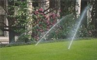 irrigation-06.jpg